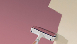 Paint Rollers & Pads (97)